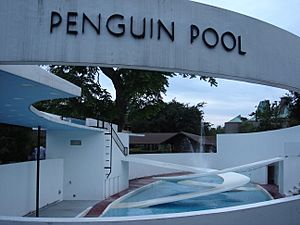 Penguin Pool, London Zoo