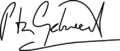 Peter Gabriel Signature