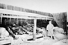 Picture of Manchurian Plague victims in 1910 -1911