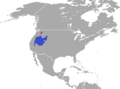 Pygmy Rabbit area
