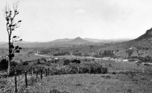 Queensland State Archives 271 Pinbarren Noosa Shire looking towards Cooran c 1931
