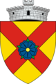 ROU SV Dornesti CoA