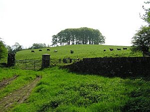 Rath at Favour Royal - geograph.org.uk - 169350