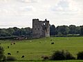 Rattin Castle, Westmeath, Ireland