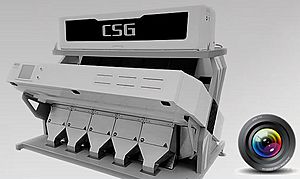 Rice color sorter