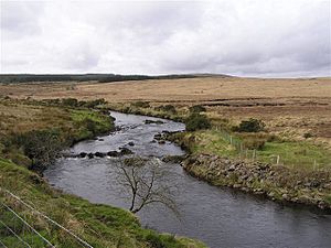 River Derg - geograph.org.uk - 698964