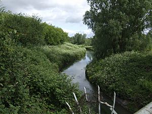 River Tame flows peacefully - geograph.org.uk - 437980