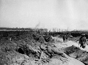 Road to Pozieres August 1916 (AWM EZ0084)