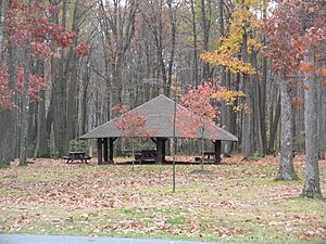 S.B. Elliott State Park Pavilion 1