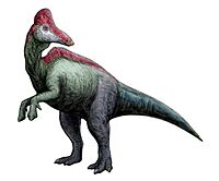 Sahaliyania restoration.jpg