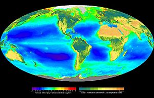 Seawifs global biosphere