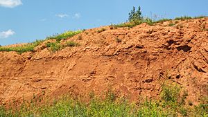 Spearfish Formation redbeds (Permian and-or Triassic; construction cut in Sundance, Wyoming, USA) 3 (19238491420).jpg