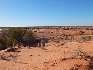 Strzelecki Desert