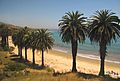 Surfers south of Gaviota, California