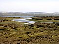 Tidal mudflats near Inchmery House, Lower Exbury - geograph.org.uk - 33289