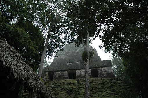 Tikal, Temple VI