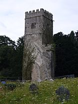 Tower at Dartington