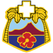 Tripler Army Medical Center dui.png