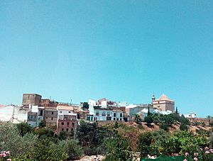 View of Santaella