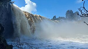 Wairua Falls after heavy rain in 2022 - viewed from below.