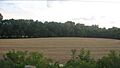 Wamsley Village Site from highway