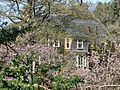 WinchesterMA JohnsonThompsonHouse