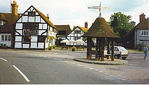 Wonersh3