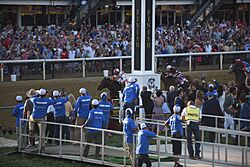 147th Preakness Stakes (52094131900).jpg