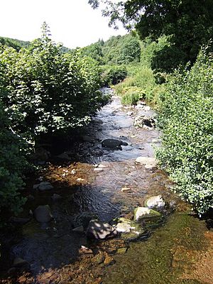 Afon Gwydderig - geograph.org.uk - 520935
