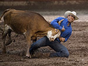 Air Force Space Night at the Rodeo (3602169)