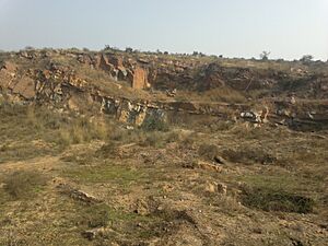 Aravalli BDPark ph14
