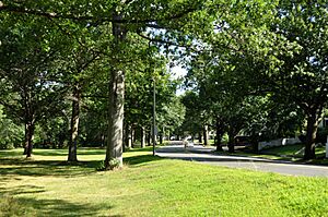 ArlingtonMA MysticParkway