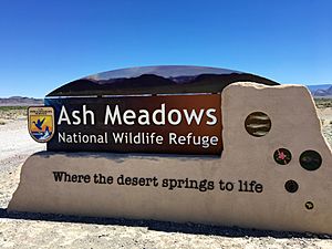 Ash Meadows NWR entry sign 2017-05-14 002