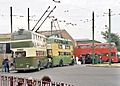 BCLM various trolleybuses