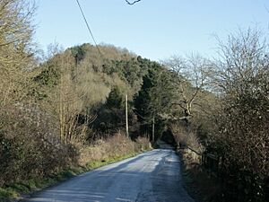 Bridge Place Road near Camerton - geograph.org.uk - 1633096