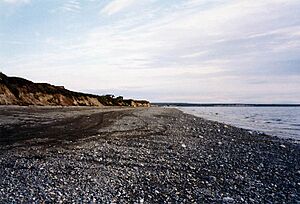 Bristol Bay shore