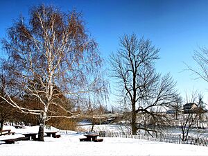 Châteauguay champ de bataille