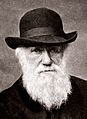 Charles Darwin 1880