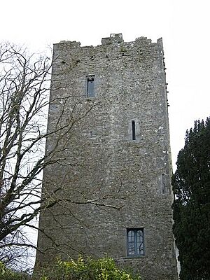 Clomantagh (or Croomantagh) Castle - geograph.org.uk - 1479267