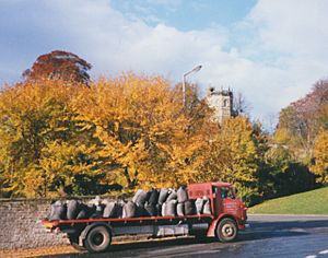 Coal delivery, Richmond - geograph.org.uk - 247056