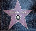 Donald Duck Star on the Walk of Fame