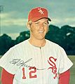 Ed Herrmann White Sox