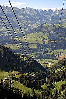 Erlenbach Simmental