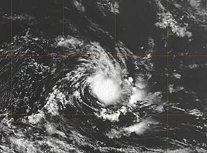 February 2006 S Atln Tropical Cyclone1800z
