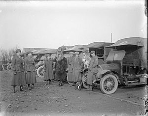 First Aid Nursing Yeomanry on the Western Front, 1914-1918 Q4671