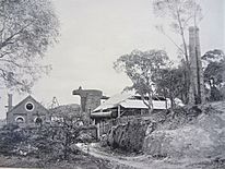 Fitzroy Iron Works (c.1901) from J.B.Jacqet