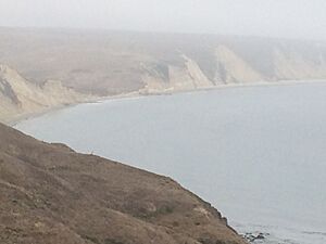 Fog hanging over the white cliffs and water at Drakes Bay, Point Reyes California