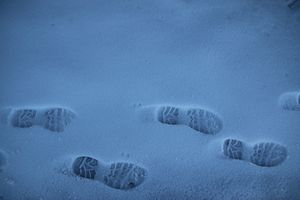 Footprints on the top of Africa