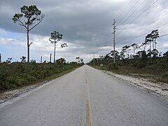 GrandBahamaHighway