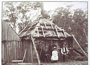 Group of pioneers at a hut in the Wielangta Forest, about 1910 (ALMFA, SLT)